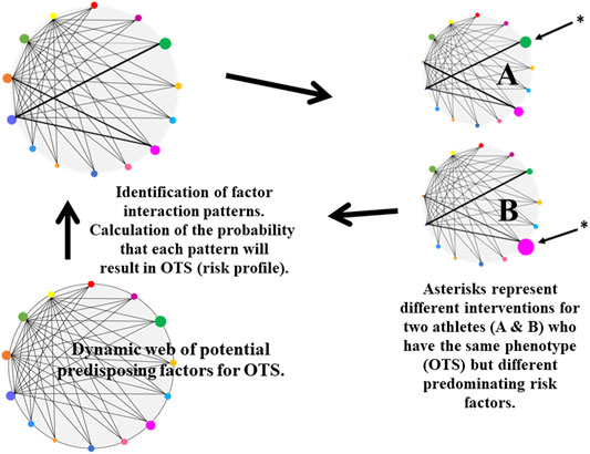 Overtraining Syndrome as a Complex Systems Phenomenon